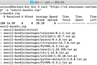 Configure AWS CLI into macOS