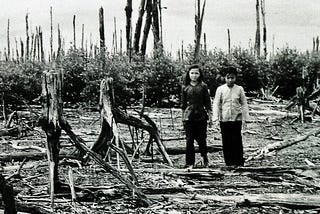 The brutality of the aftermath of war on women and the environment