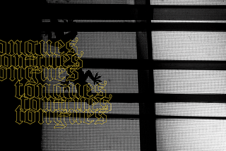 [Image ID: A black and white picture with a lizard walking across a screen door. Tongues in gothic font lines across. ./End]
