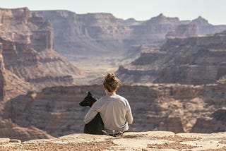 Person and dog sat on a cliff