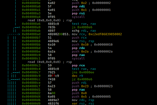 Reversing a real-world 249 bytes backdoor!