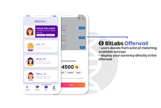 BitLabs Dating App Survey Offerwall