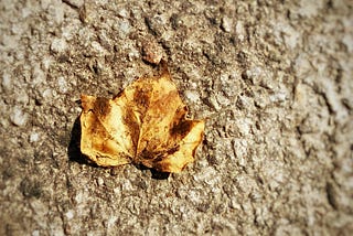 Leaf let go