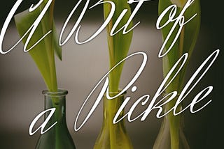 Book Bits: “A Bit of a Pickle” Chapter Thirteen