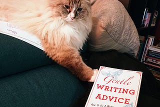 A Ragdoll cat paw pointing to Chuck Wendig’s book, Gentle Writing Advice