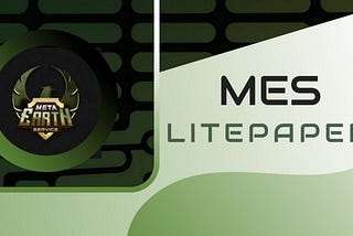 Meta Earth Service Litepaper