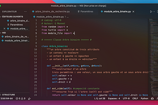 Visual Studio Code plus smooth et aesthetic.