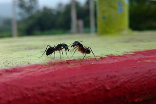 Let’s talk about - Promoting Software is Tougher than Promoting Anything Else