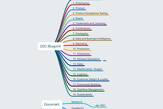 BluePrint for D2C Businesses (Outline)