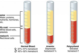 Blood processing and analysis