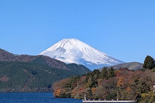我的2024年日本東京生活回顧