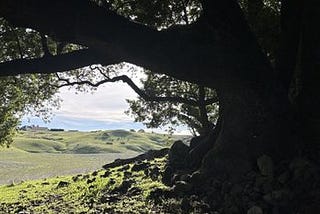 Grandmothers who love moss and birdsongs and gardens: wondering and weaving Quaker and Witchy…
