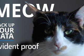 “Meow” Data Hack puts the cat amongst the pigeons