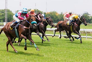 Some Common Joint Diseases in Horses