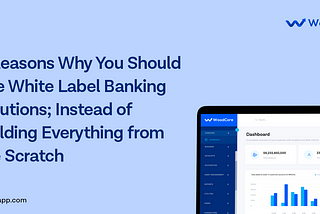 6 Reasons Why You Should Use White Label Banking Solutions;