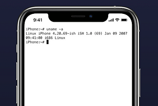 Is Linux on the iPad possible in 2023?
