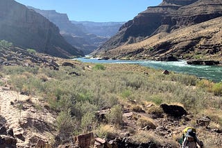 a woman hiking in the grand canyon, with a view of cliffs and the Colorado River.