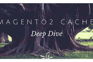 Magento 2 Cache Deep-Dive