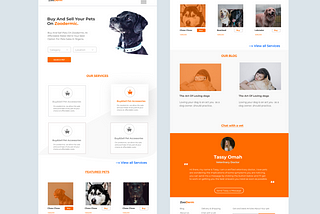 Zoodermic Case Study- Designing an e-Commerce website for Pets.