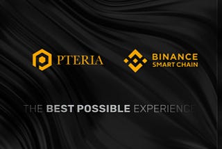 The PTERIA token will be added on Binance Smart Chain (BSC) and PancakeSwap