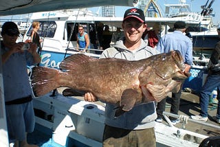 fishing trips gold coast: