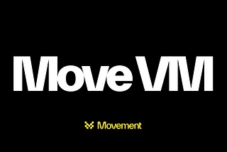 The MoveVM: A New Era of Blockchain Precision and Safety