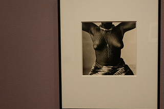 The Photographs of Irving Penn