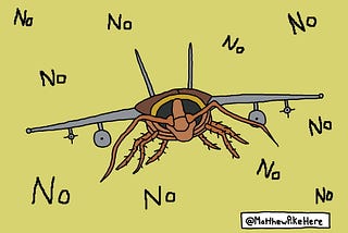 Flight of the Cockroach