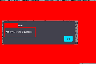 XSS Steal Cookies