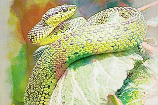 A small garden snake on a leaf