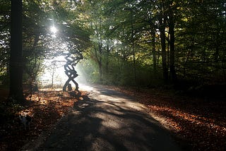 The woods — with a twisted Beech. And the sun shining through the greenery.