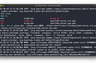 Running Keycloak with TLS (Self-signed certificate)