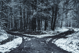 Fork in the forest path during winter