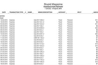 Stupid Magazine: 8 month review