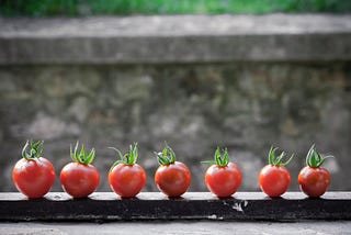 A row of tomatoes — pomodoro technique