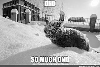 A cat is shocked about so much DnD.