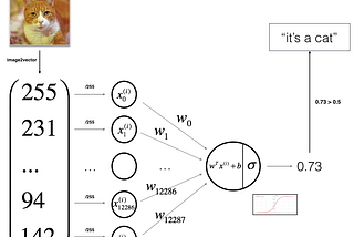 Using a Logistic regression along with Neural Networks  Cat vs Non-Cat Image Classification