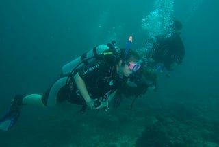 Dive with a purpose and contribute towards the environmental sustainability and coral reef…