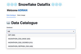 Building a data catalogue product with Streamlit in Snowflake (SiS)