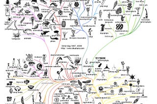 Consciousness and the Intelligence Algorithm of Mind and Evolution