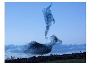 The Synchronicity of Starlings & the Magic of Unity