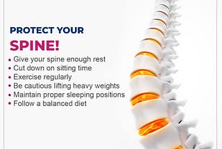 Your Spine Is Your Lifeline — Protect It.