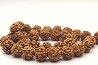 A Rudraksha Mala Specimen woven in Red Thread with 5 Mukhi Rudraksha woven neatly in Red Silk Thread