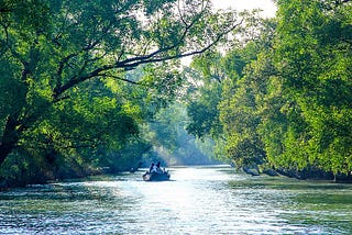 Navigating the Mangroves: Unveiling the Best Sundarbans Tour Company in Khulna