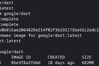 google/dart image size