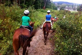 The Pocono Mountains