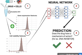Drug Discovery With Neural Networks