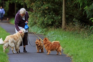 I Am My Own Dog: Or, Do You Make Time for Self-Care?