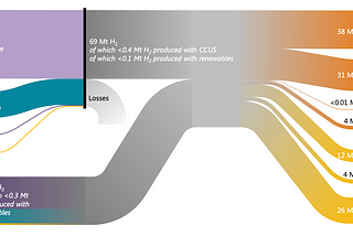 What the H? The Woes and Wonder of Hydrogen