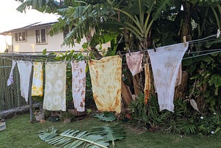 Solar Dyeing with Plants